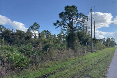 Land in Port Charlotte, Florida № 2161074 - photo 2