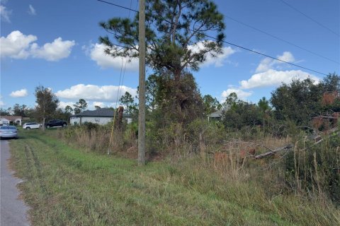 Land in Port Charlotte, Florida № 2161074 - photo 4
