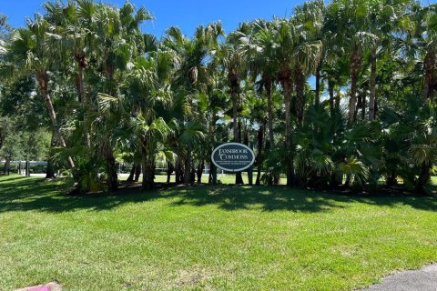 House in Palm Harbor, Florida 4 bedrooms, 253.25 sq.m. № 1854456 - photo 13