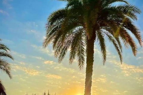 Terreno en venta en Davenport, Florida № 1773820 - foto 25