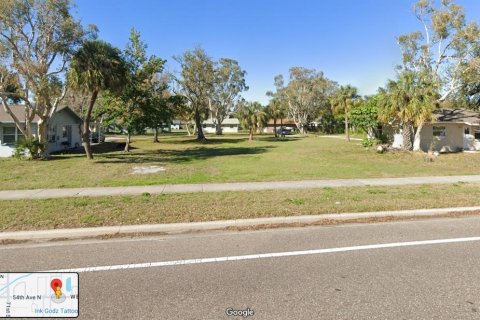 Land in Saint Petersburg, Florida № 1835133 - photo 1