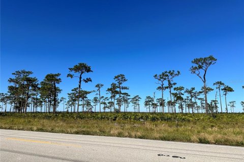 Land in Fort Meade, Florida № 1536876 - photo 4