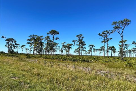 Land in Fort Meade, Florida № 1536876 - photo 1