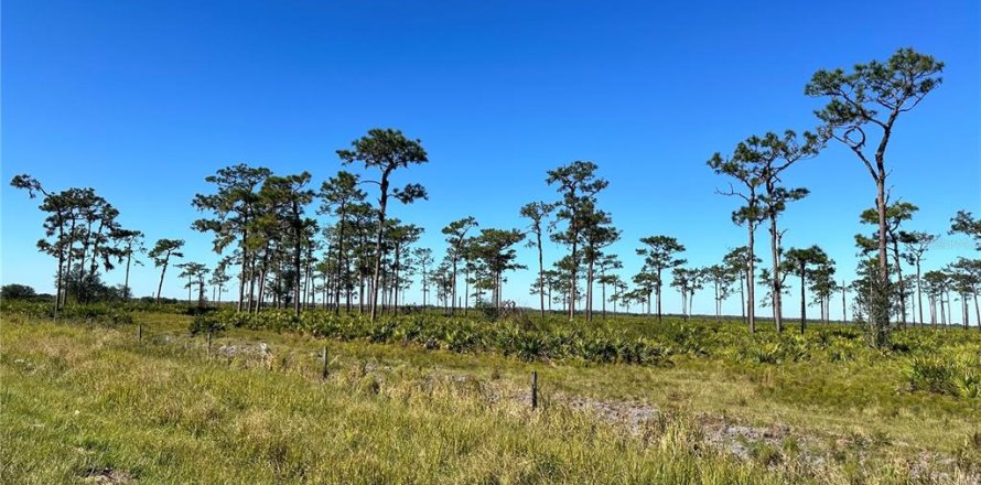 Land in Fort Meade, Florida № 1536876