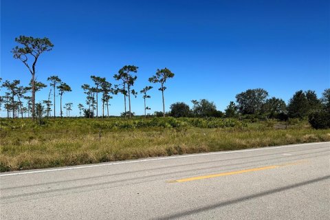 Land in Fort Meade, Florida № 1536876 - photo 5