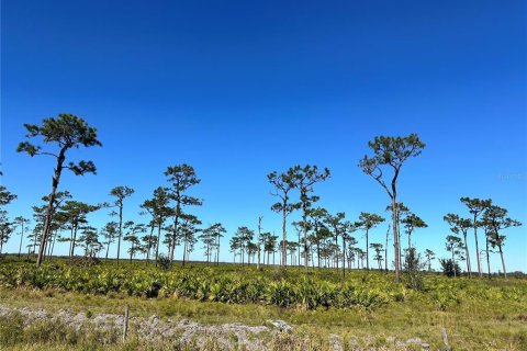 Land in Fort Meade, Florida № 1536876 - photo 2
