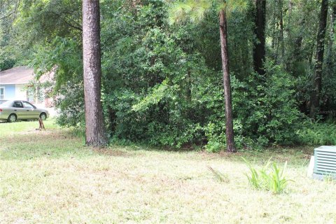 Land in Gainesville, Florida № 1841748 - photo 6