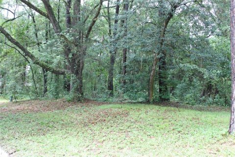 Land in Gainesville, Florida № 1841748 - photo 2