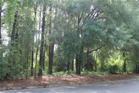 Land in Gainesville, Florida № 1841748 - photo 3