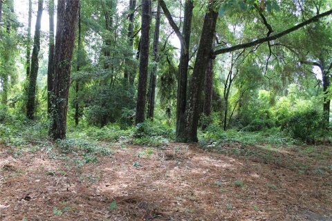 Land in Gainesville, Florida № 1841748 - photo 5