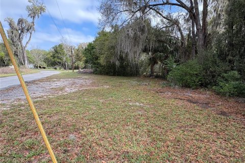 Commercial property in Lake Panasoffkee, Florida 83.61 sq.m. № 2116225 - photo 6
