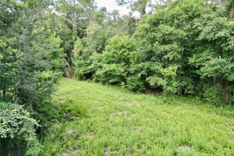 Terreno en venta en Webster, Florida № 1830067 - foto 28