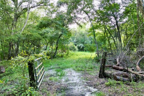 Terreno en venta en Webster, Florida № 1830067 - foto 4