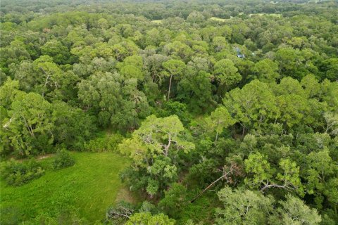 Terreno en venta en Webster, Florida № 1830067 - foto 22