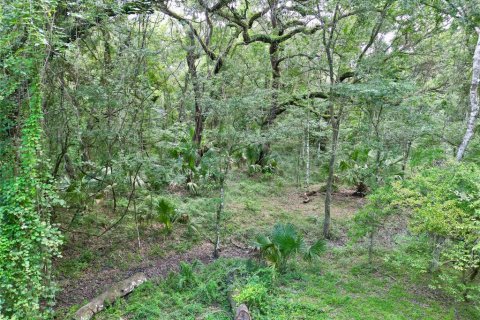 Terreno en venta en Webster, Florida № 1830067 - foto 30