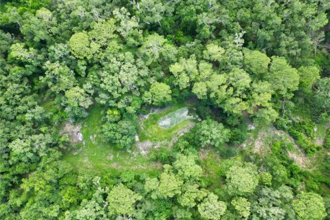 Terreno en venta en Webster, Florida № 1830067 - foto 16