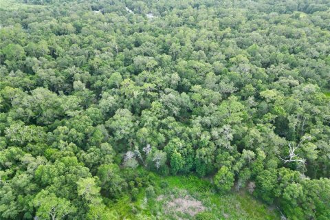 Terreno en venta en Webster, Florida № 1830067 - foto 19