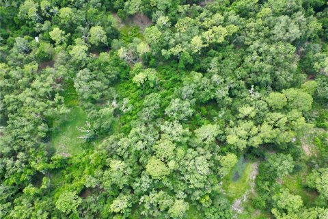 Terreno en venta en Webster, Florida № 1830067 - foto 17