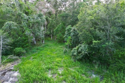 Terreno en venta en Webster, Florida № 1830067 - foto 12