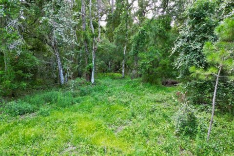 Terreno en venta en Webster, Florida № 1830067 - foto 26