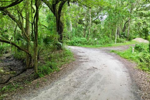 Terreno en venta en Webster, Florida № 1830067 - foto 5