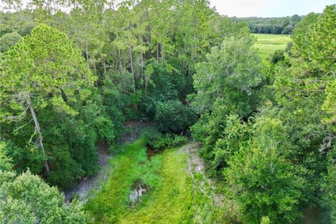 Terreno en venta en Webster, Florida № 1830067 - foto 8