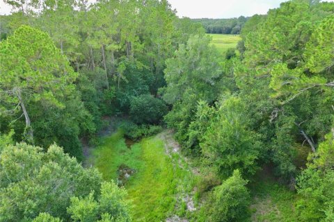 Terreno en venta en Webster, Florida № 1830067 - foto 7