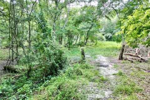 Terreno en venta en Webster, Florida № 1830067 - foto 3