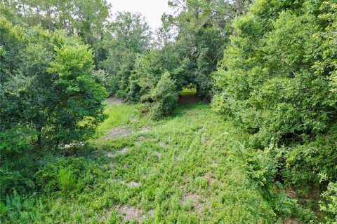 Terreno en venta en Webster, Florida № 1830067 - foto 13