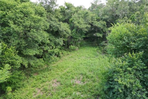 Terreno en venta en Webster, Florida № 1830067 - foto 10