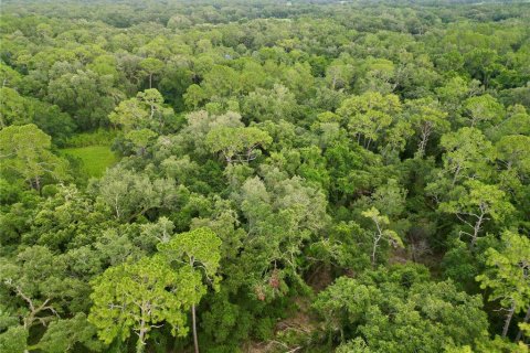 Terreno en venta en Webster, Florida № 1830067 - foto 21