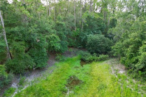 Terreno en venta en Webster, Florida № 1830067 - foto 9