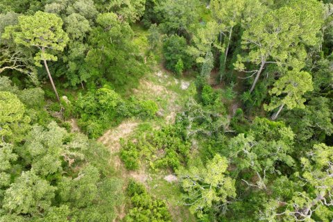 Terreno en venta en Webster, Florida № 1830067 - foto 23