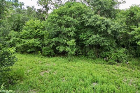 Terreno en venta en Webster, Florida № 1830067 - foto 27