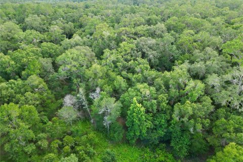 Terreno en venta en Webster, Florida № 1830067 - foto 20