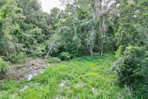 Terreno en venta en Webster, Florida № 1830067 - foto 25