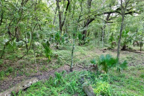Terreno en venta en Webster, Florida № 1830067 - foto 29