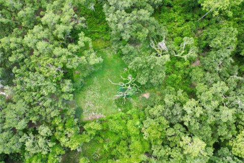 Terreno en venta en Webster, Florida № 1830067 - foto 18