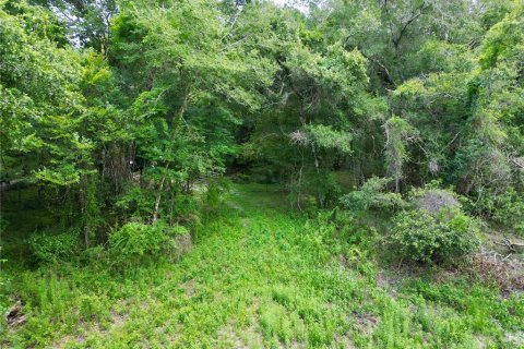 Terreno en venta en Webster, Florida № 1830067 - foto 24