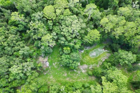 Terreno en venta en Webster, Florida № 1830067 - foto 14