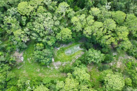 Terreno en venta en Webster, Florida № 1830067 - foto 15