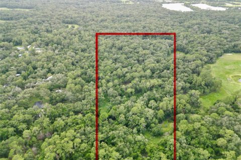 Terreno en venta en Webster, Florida № 1830067 - foto 1