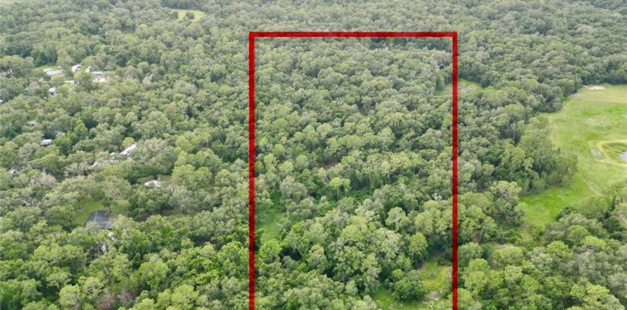 Land in Webster, Florida № 1830067