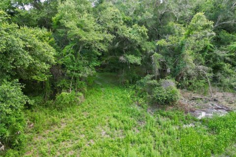 Terreno en venta en Webster, Florida № 1830067 - foto 11