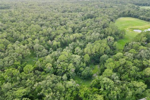 Terreno en venta en Webster, Florida № 1830067 - foto 6