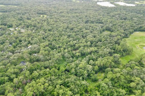 Terreno en venta en Webster, Florida № 1830067 - foto 2