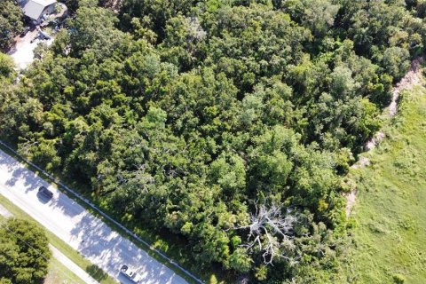 Terrain à vendre à Palmetto, Floride № 2398765 - photo 5
