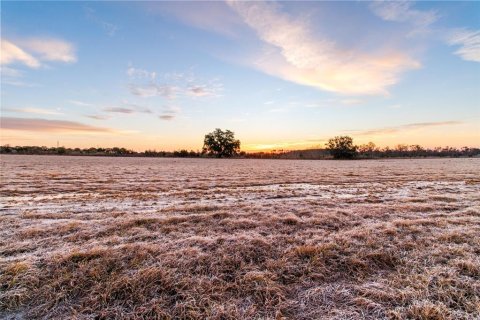 Land in Brooksville, Florida № 2143497 - photo 3
