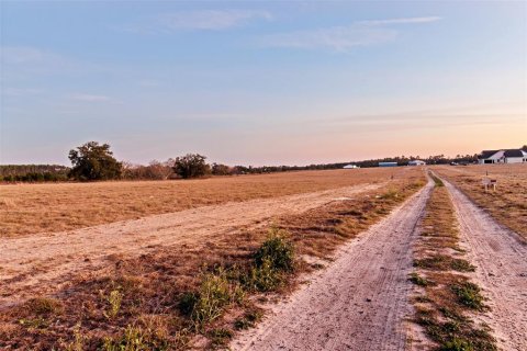 Land in Brooksville, Florida № 2143497 - photo 4