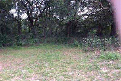 Terreno en venta en Inverness, Florida № 218210 - foto 2